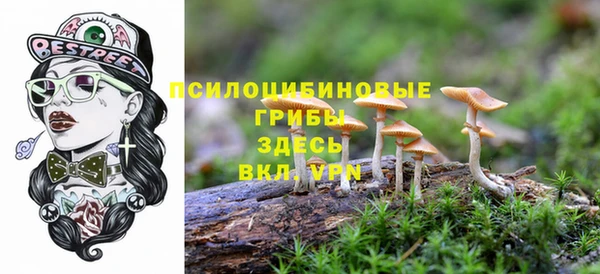 СК Алексеевка